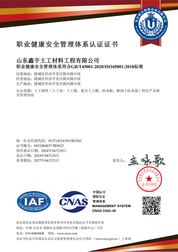 職業(yè)健康安全管理體系認(rèn)證證書(shū)中文證書(shū).jpg